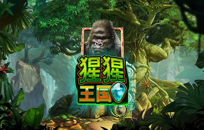 龙珠体育app官网